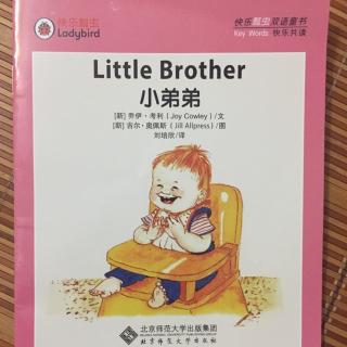 Little Brother小弟弟