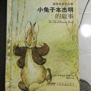 小兔子本杰明的故事