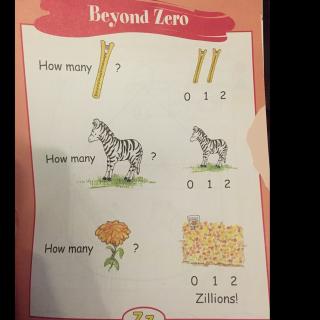 自然拼读Z小阅读 Beyond zero