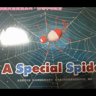 A Special Spider