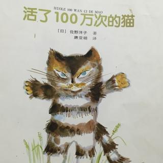 活了一百万次的猫