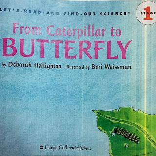 From caterpillar to butterfly