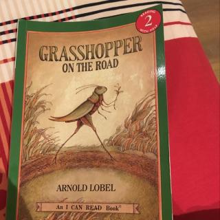 Grasshopper on the road - 20160815