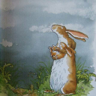 大兔子和小兔子之想念