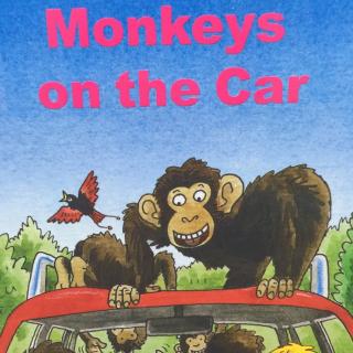 monkeys on the car-DD3-2