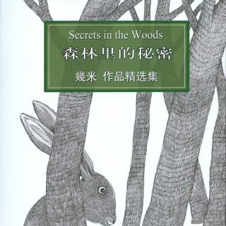 讀•幾米『森林裏的秘密』