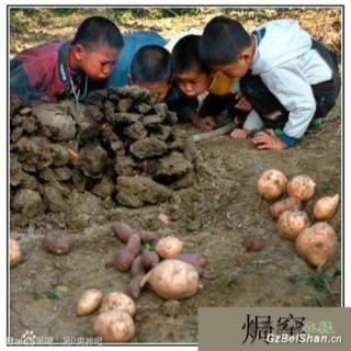 《童年，你没有》文／沧海菽米      朗诵：碧海青天