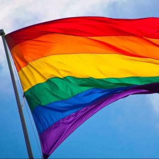 【看奥运学英语】LGBTI 在里约勇敢出柜赢得尊重！