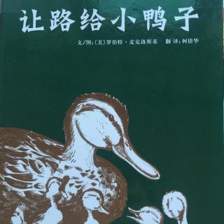 绘本故事《让路给小鸭子》