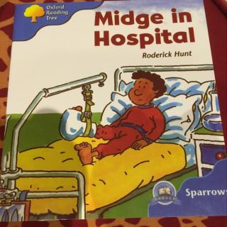 ORT3 - Midge in hospital 20160815