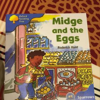 ORT3 -Midge and the eggs 20160815