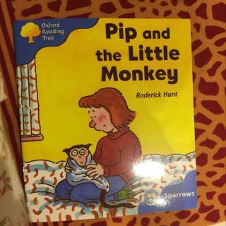 ORT3 - Pip and the little monkey 20160815