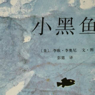 小黑鱼