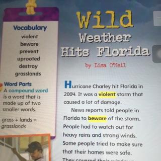 Wild weather hits Florida