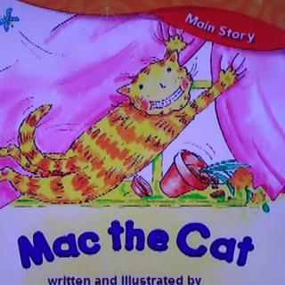 Mac the Cat 