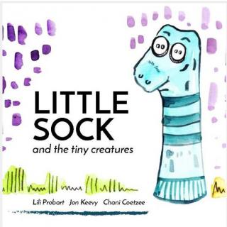 little  socks and the tiny creatures