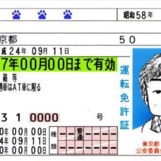 日本の免許