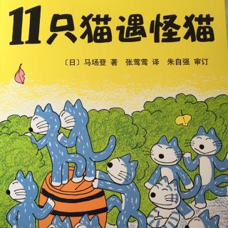 11只猫遇怪猫