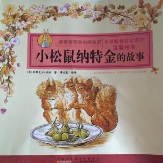 小松鼠纳特金的故事（彼得兔和他的朋友们）