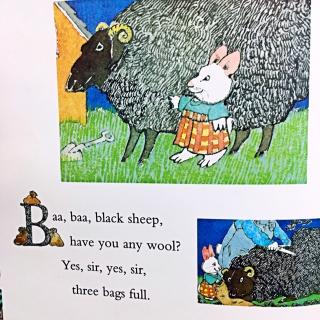 鹅妈妈 1. baa，baa，black sheep-- reading