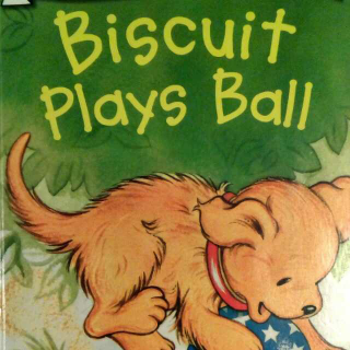 14. Biscuit Plays Ball (by Lynn)