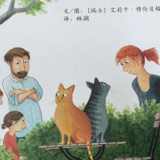 《有家的小猫》—和谐相处很有爱