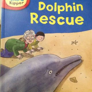 Dolphin Rescue - Oxford Phonics Level 5