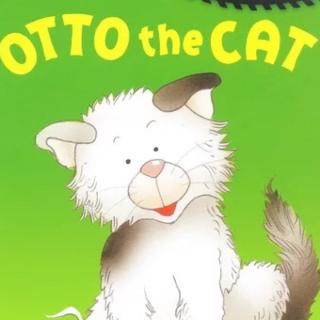 🐱🐱🐱Otto the cat🐶🐶🐶