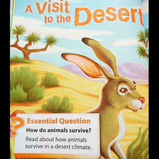 A Visit to the Desert