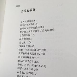 金黄的稻束