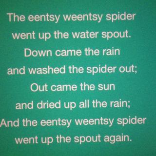 （英文童谣分解）The eentsy weentsy Spider