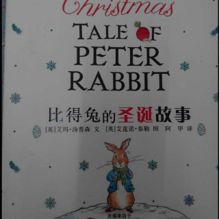 比得兔的圣诞故事