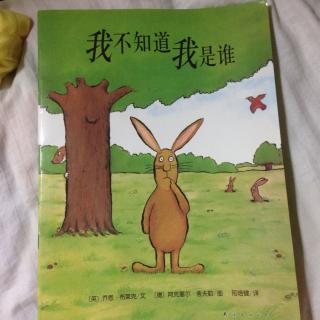 中文绘本（2-3岁）我不知道我是谁