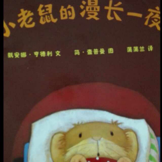 小老鼠🐭的漫长一夜