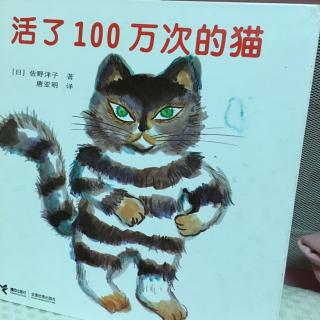 活了100万次的猫