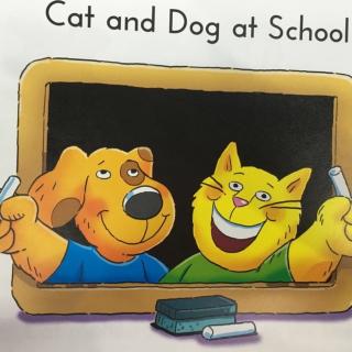 cat and dog at school