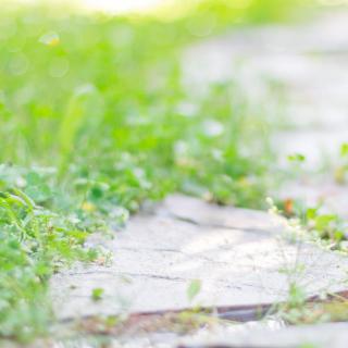 梅  雨  江  南 