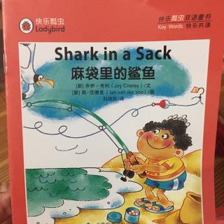 Shark in a sack麻袋里的鲨鱼