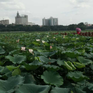 美好，婉若初现《往昔的时光》