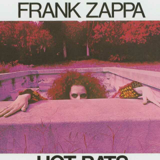 前卫实验摇滚教父Frank Zappa