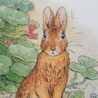 ｛绘本廊｝小兔彼得的故事（彼得像不像你家的调皮鬼）
