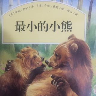 绘本故事《最小的小熊》