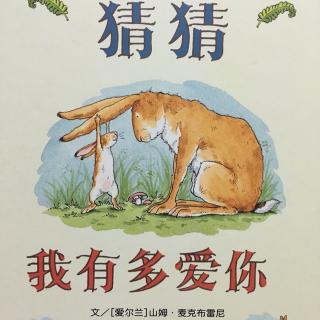 52.猜猜我有多爱你