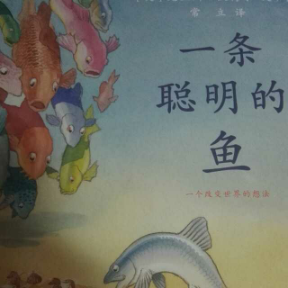 异想天开的想法《一条聪明的鱼》