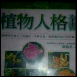 💗 植物人格全书 💗CT29升华者人格