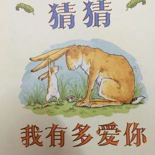 猜猜我有多爱你