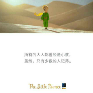 The Little Prince (chapter24)