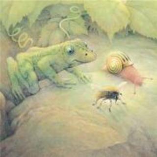 蜗牛🐌青蛙🐸蜜蜂🐝，找雪❄️