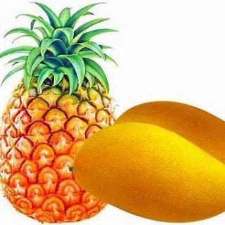 友人来稿【菠萝和芒果的故事】