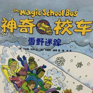 神奇校车之雪野迷踪